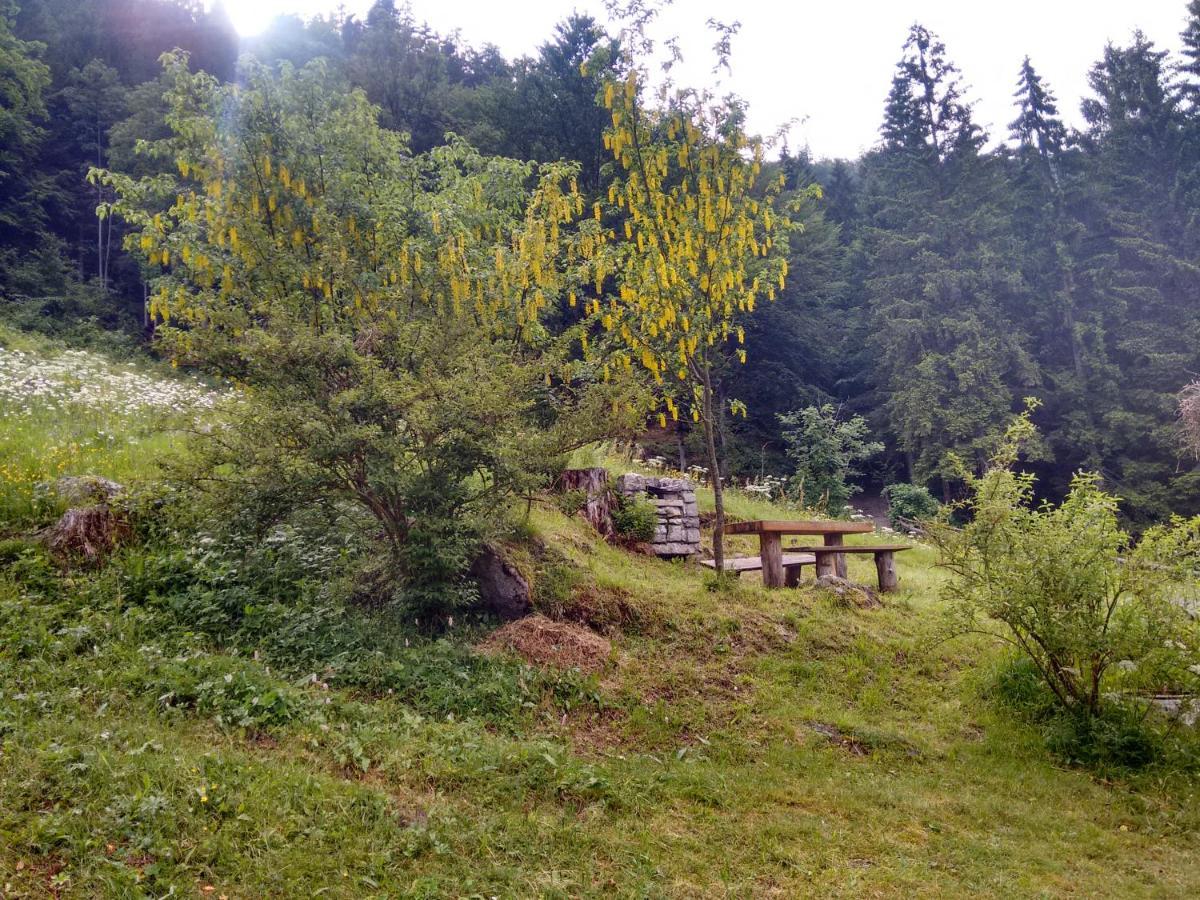فيلا Agritur Manoncin داونه المظهر الخارجي الصورة