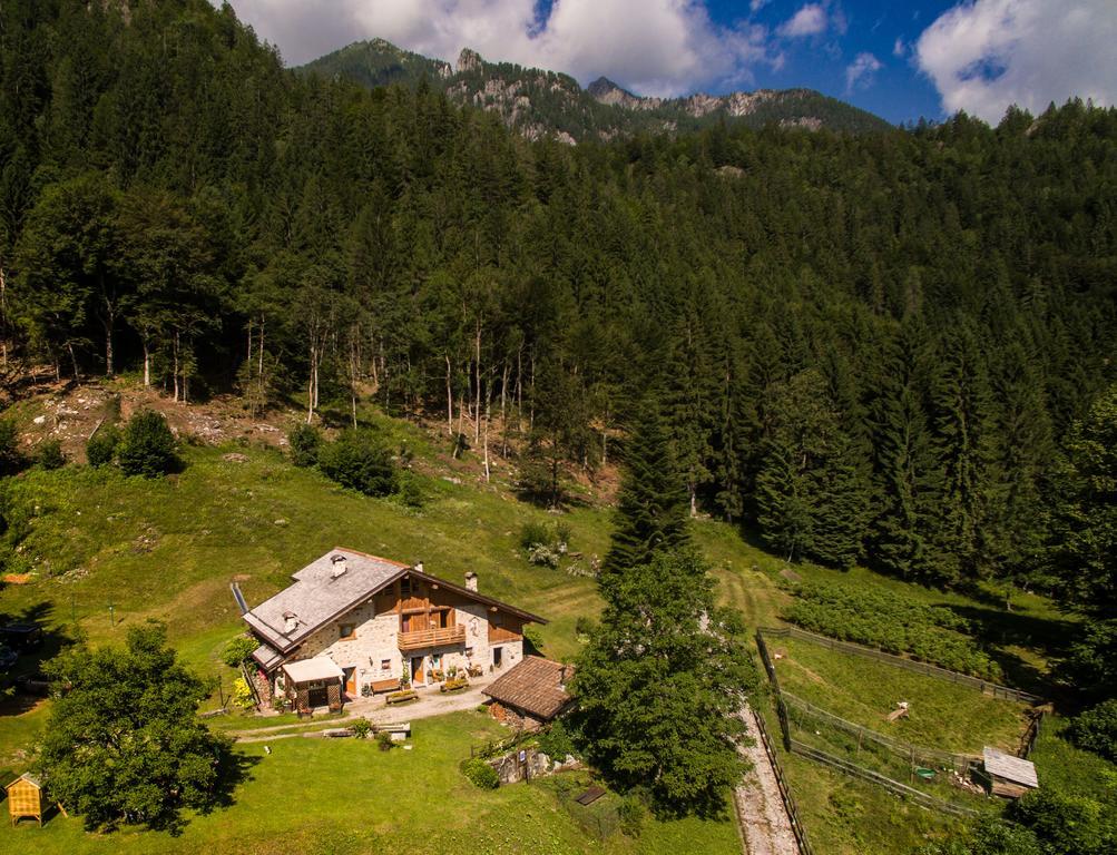 فيلا Agritur Manoncin داونه المظهر الخارجي الصورة