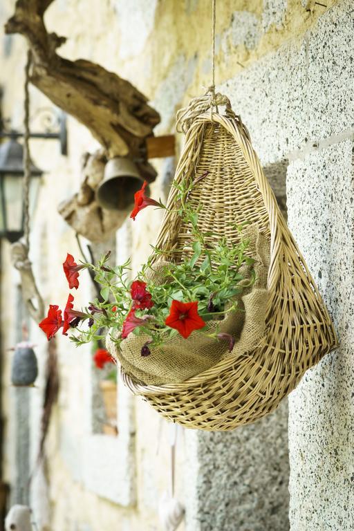 فيلا Agritur Manoncin داونه المظهر الخارجي الصورة