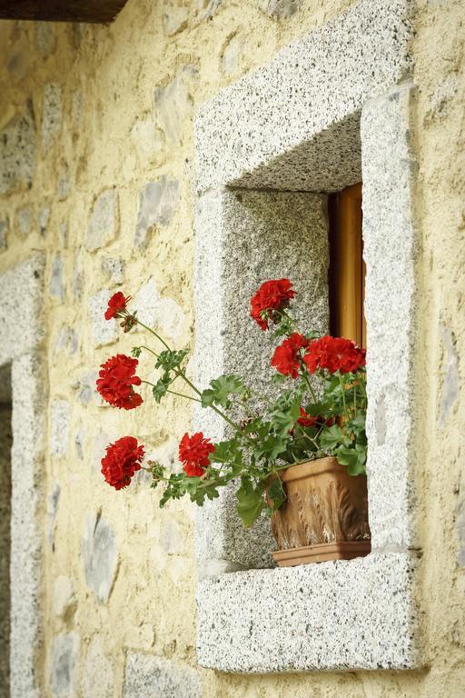 فيلا Agritur Manoncin داونه المظهر الخارجي الصورة