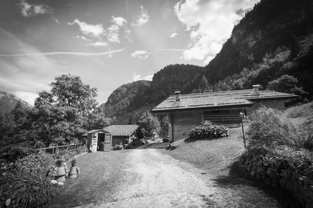 فيلا Agritur Manoncin داونه المظهر الخارجي الصورة